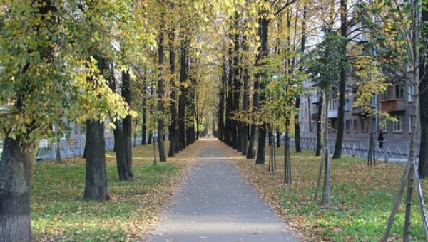 Аллея творчества (Липовая аллея)