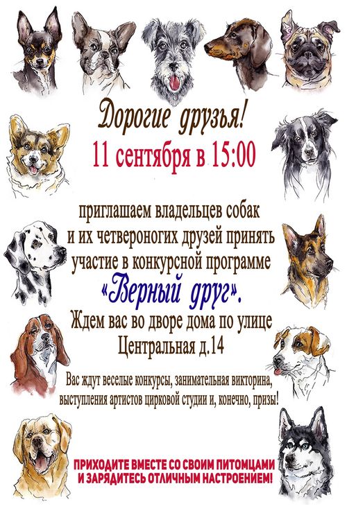 Конкурсная программа "Верный друг"