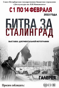 Выставки февраля
